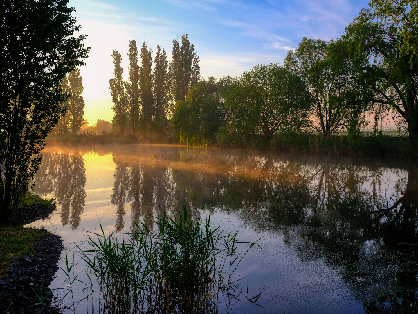 Morgennebel ... 