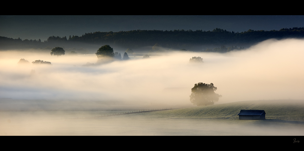 Morgennebel