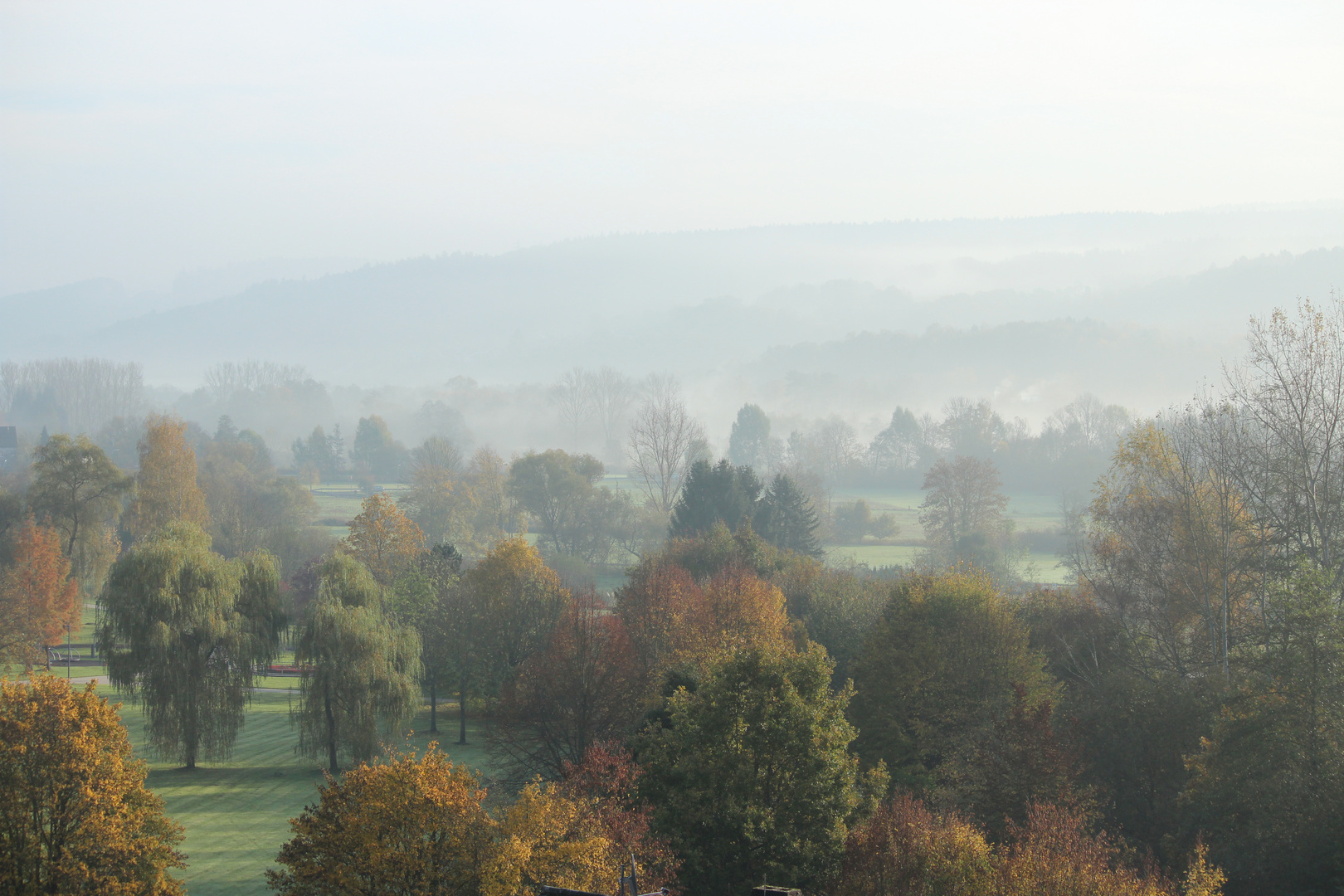 Morgennebel