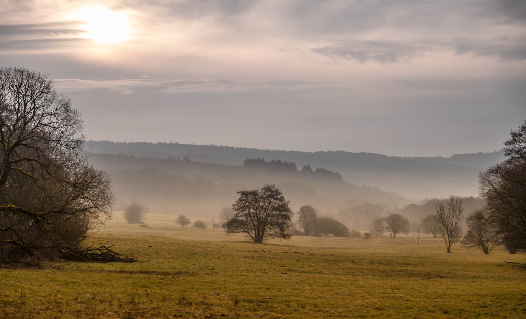 Morgennebel