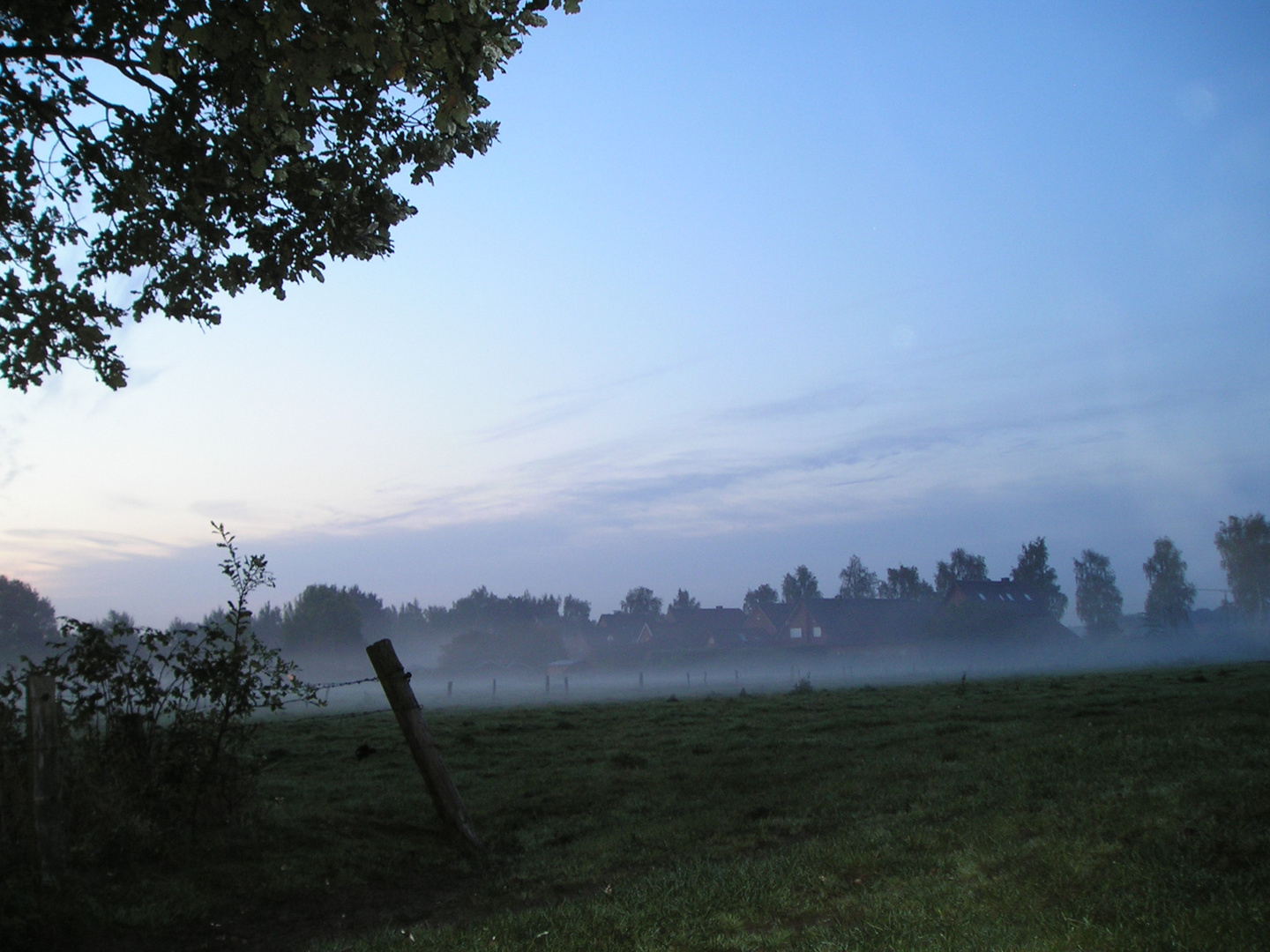 Morgennebel