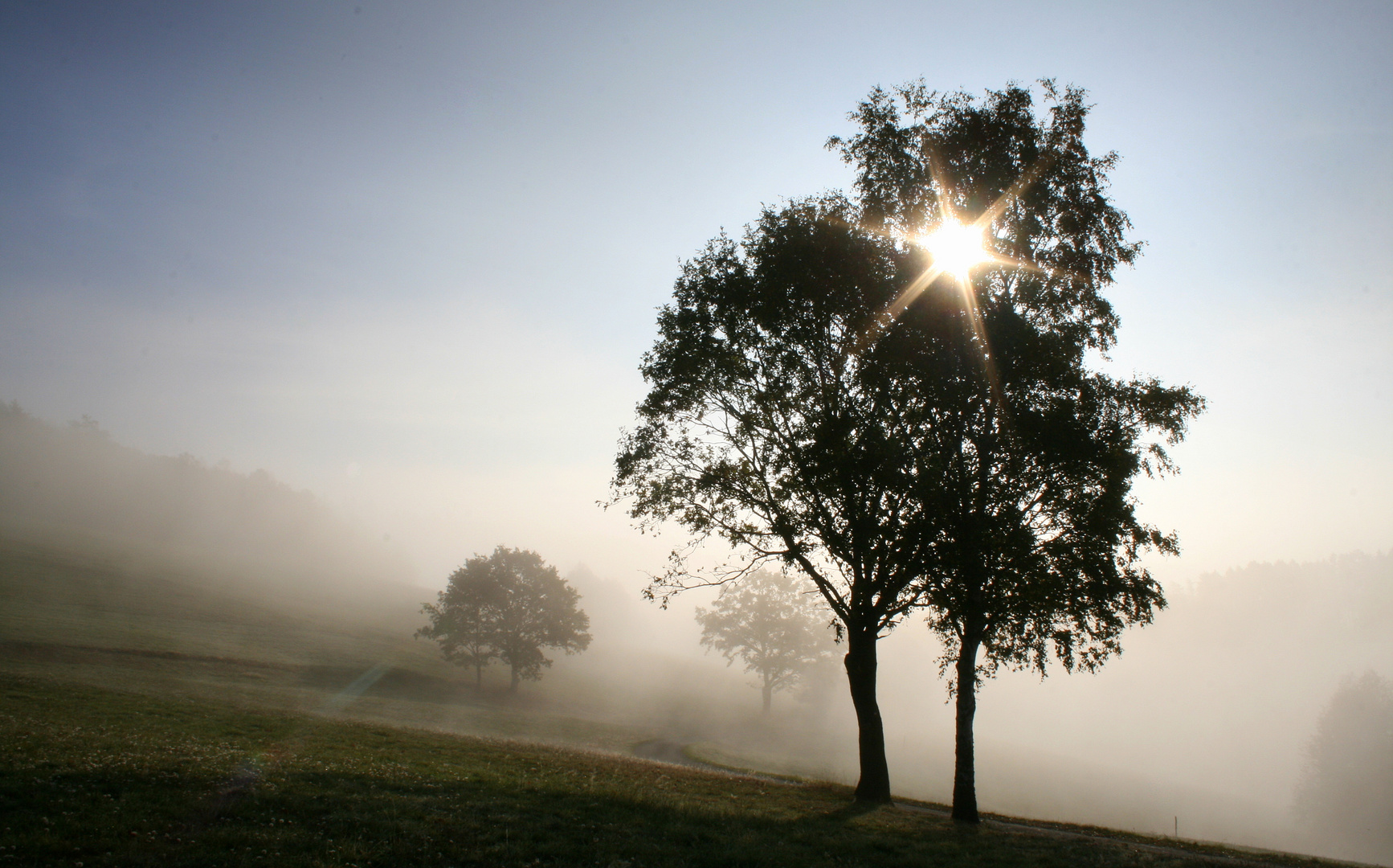 Morgennebel