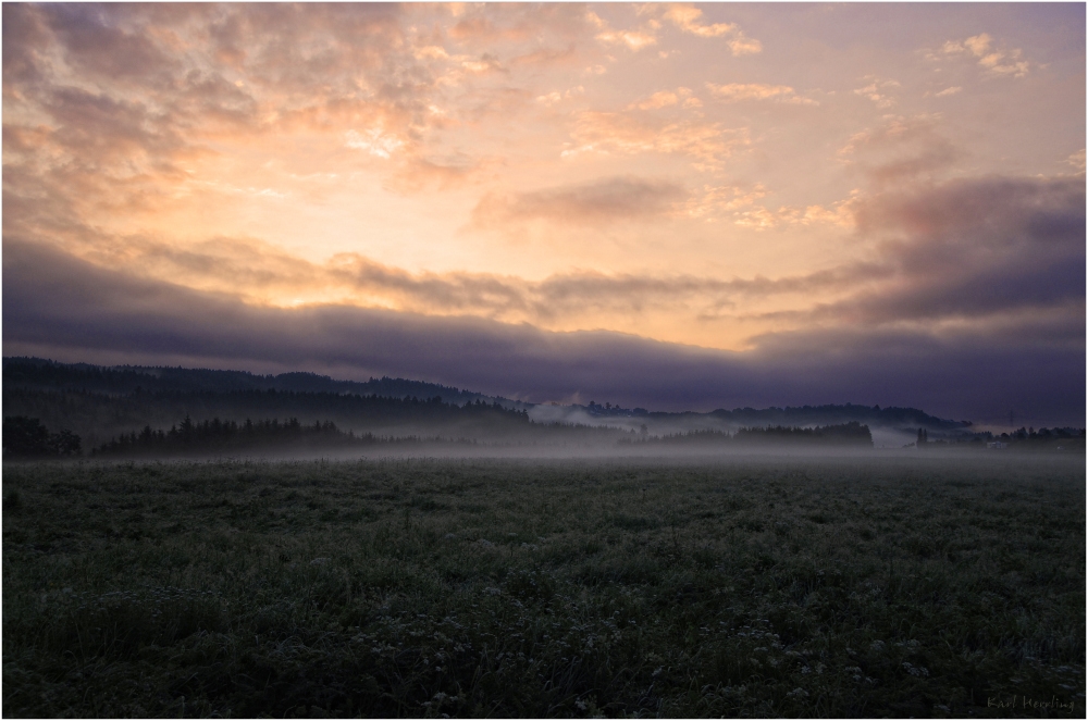 Morgennebel