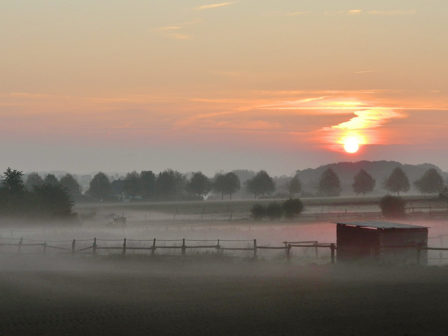 Morgennebel