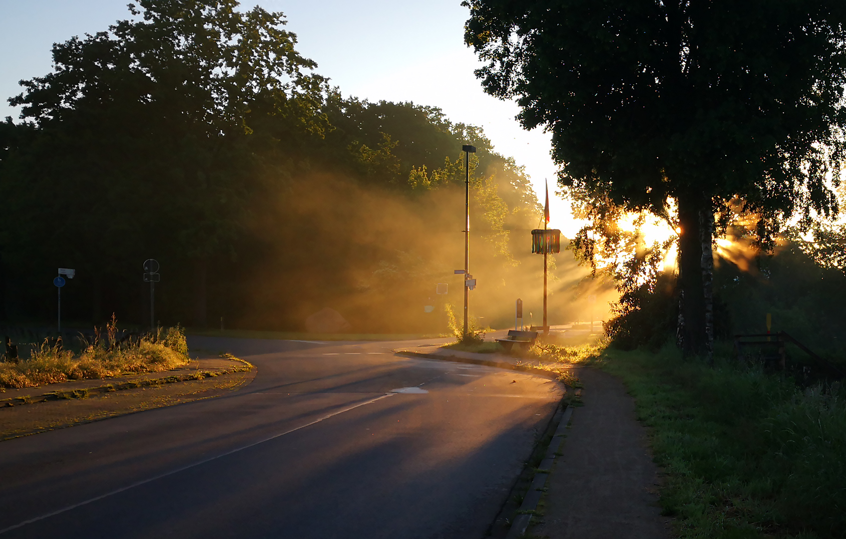 Morgennebel