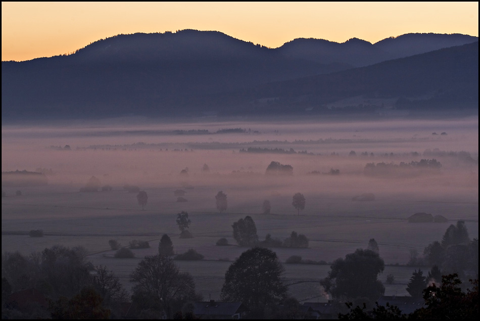 Morgennebel