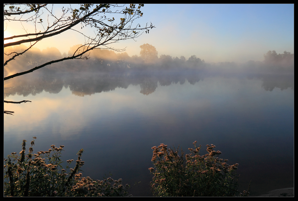 Morgennebel