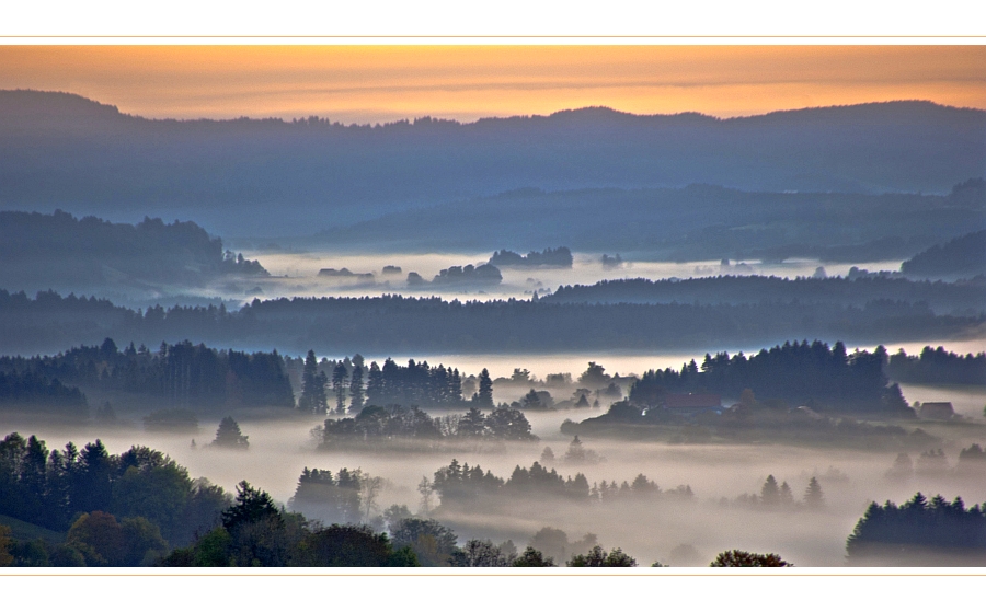 ****MORGENNEBEL****