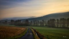 Morgennebel bei Hammelburg