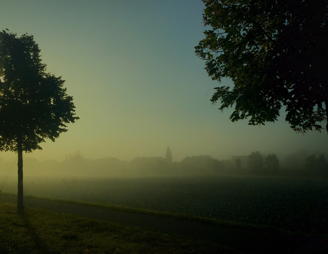 Morgennebel bei Herbstunterwegs