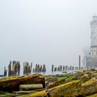 Morgennebel bei Lindau