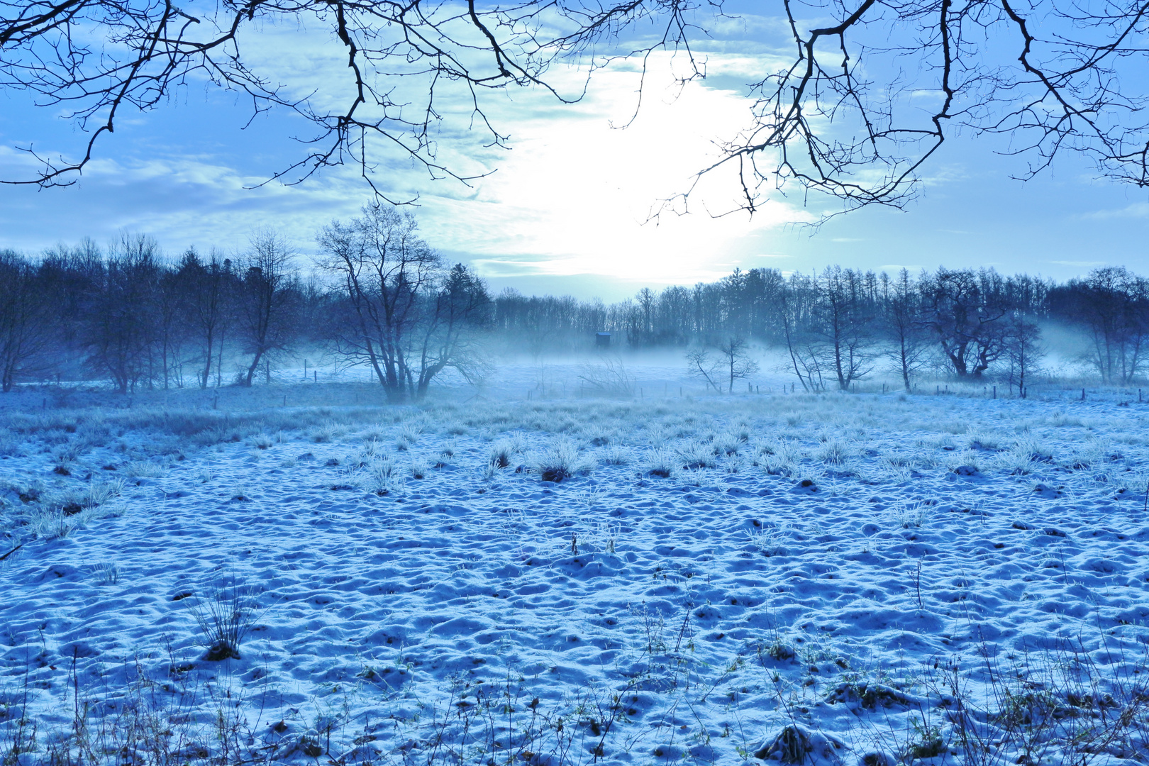 Morgennebel bei Schnee