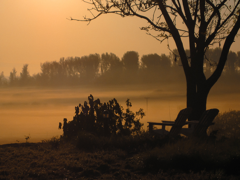 Morgennebel bei Sonnenaufgang