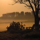 Morgennebel bei Sonnenaufgang