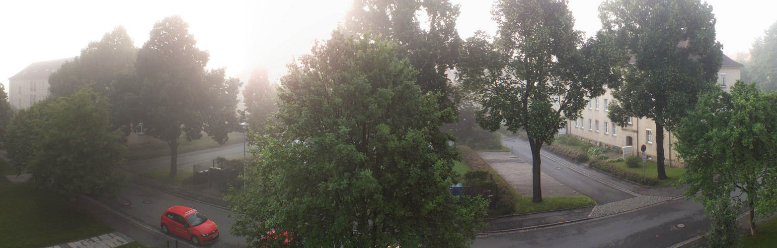 Morgennebel bei Sonnenaufgang auf meiner Straße