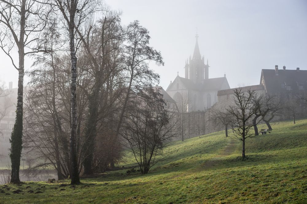 Morgennebel beim Kloster Bebenhausen