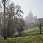 Morgennebel beim Kloster Bebenhausen