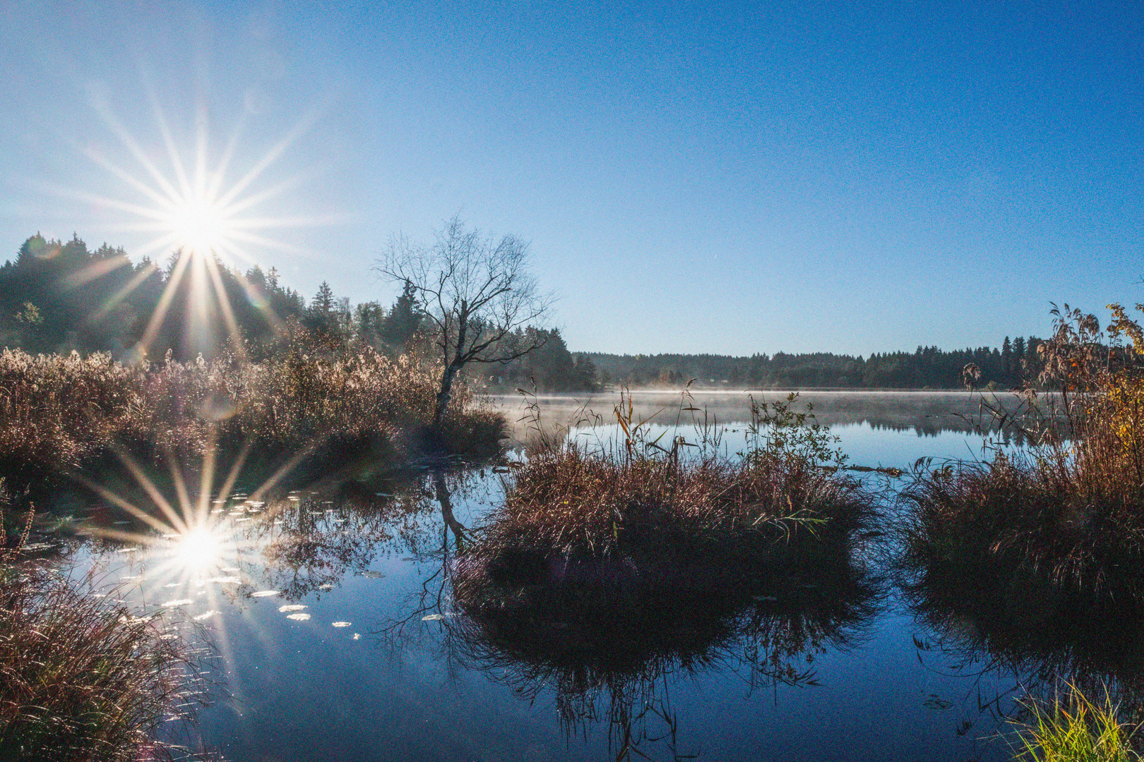 Morgennebel beim Moorsee