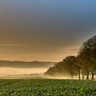 Morgennebel beim Sonnenaufgang, Einsiedel