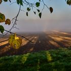 Morgennebel beim Sonnenaufgang, Einsiedel