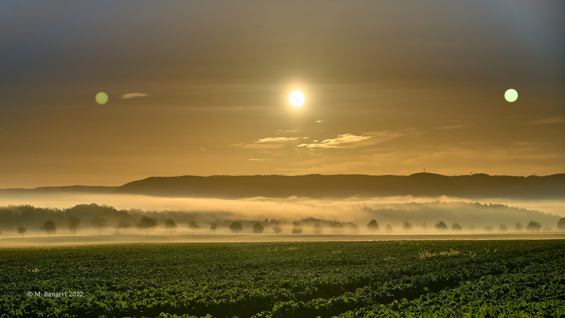 Morgennebel beim Sonnenaufgang, Einsiedel