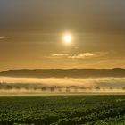 Morgennebel beim Sonnenaufgang, Einsiedel