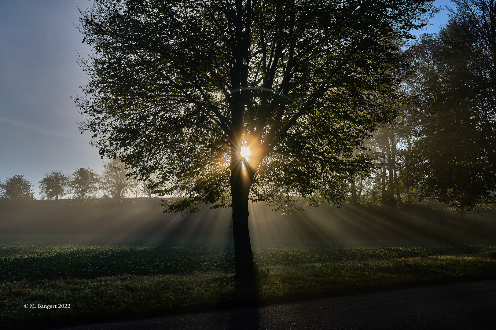 Morgennebel beim Sonnenaufgang, Einsiedel