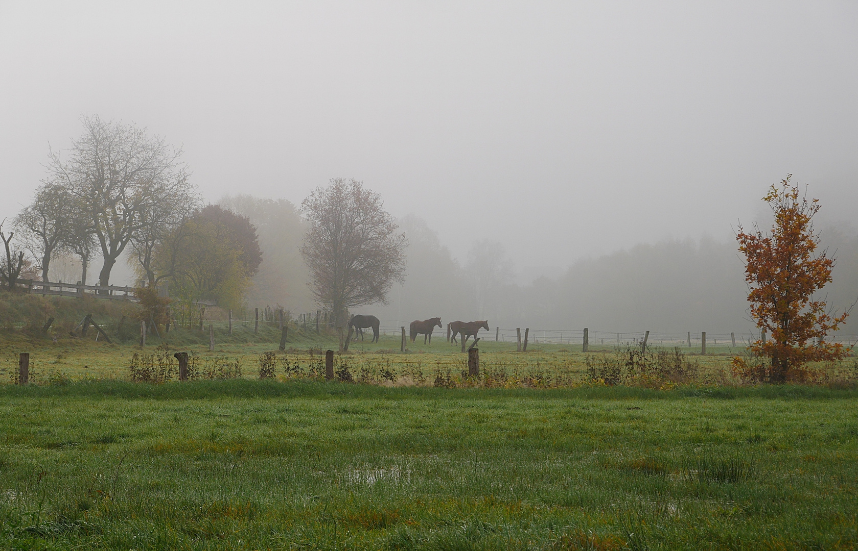 Morgennebel bis 11 Uhr