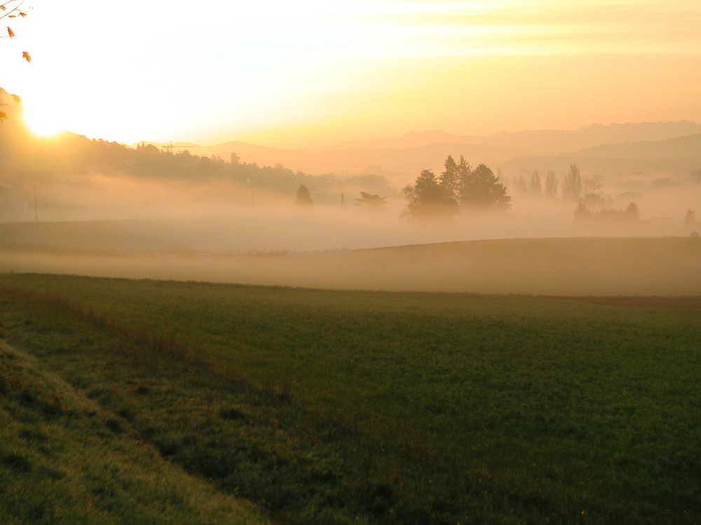 Morgennebel / Bodennebel