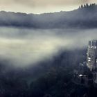 Morgennebel Burg Eltz