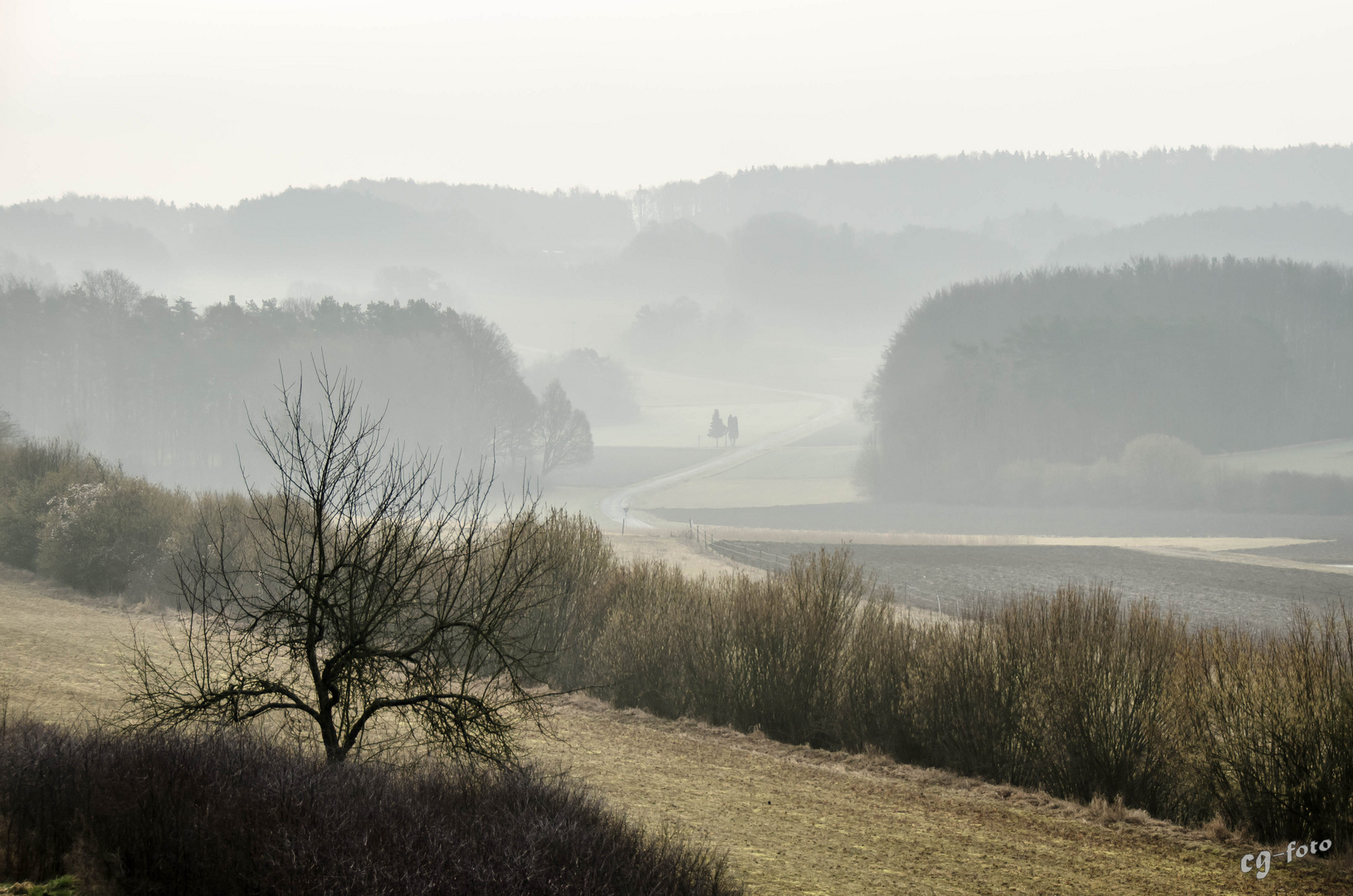 Morgennebel