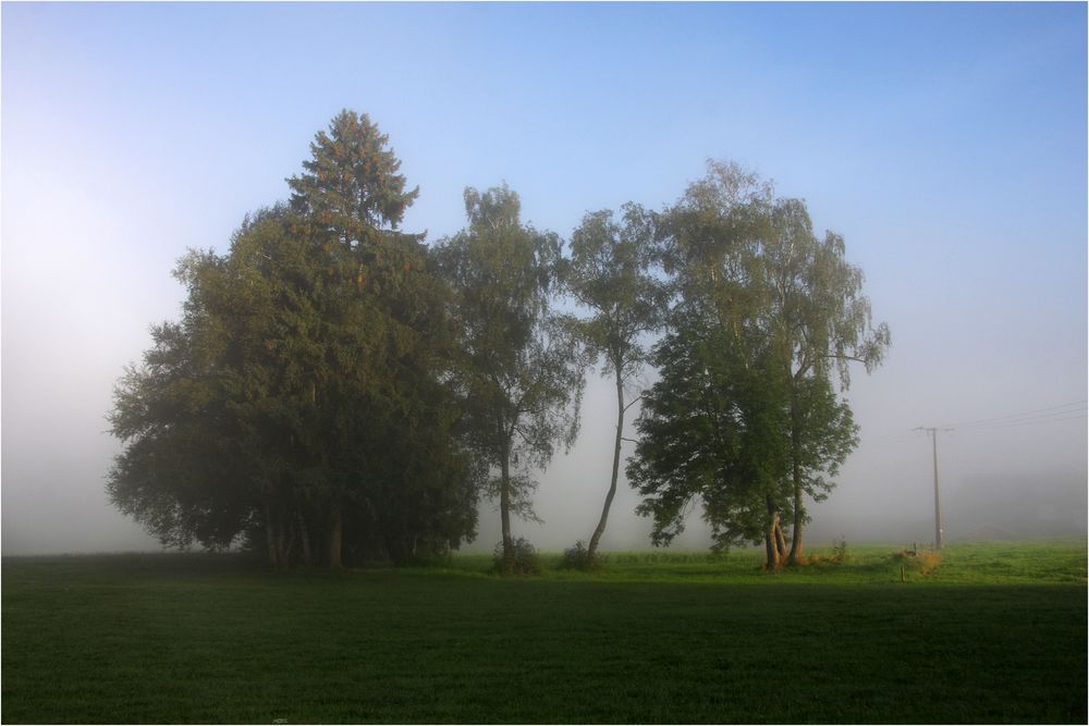 -Morgennebel-