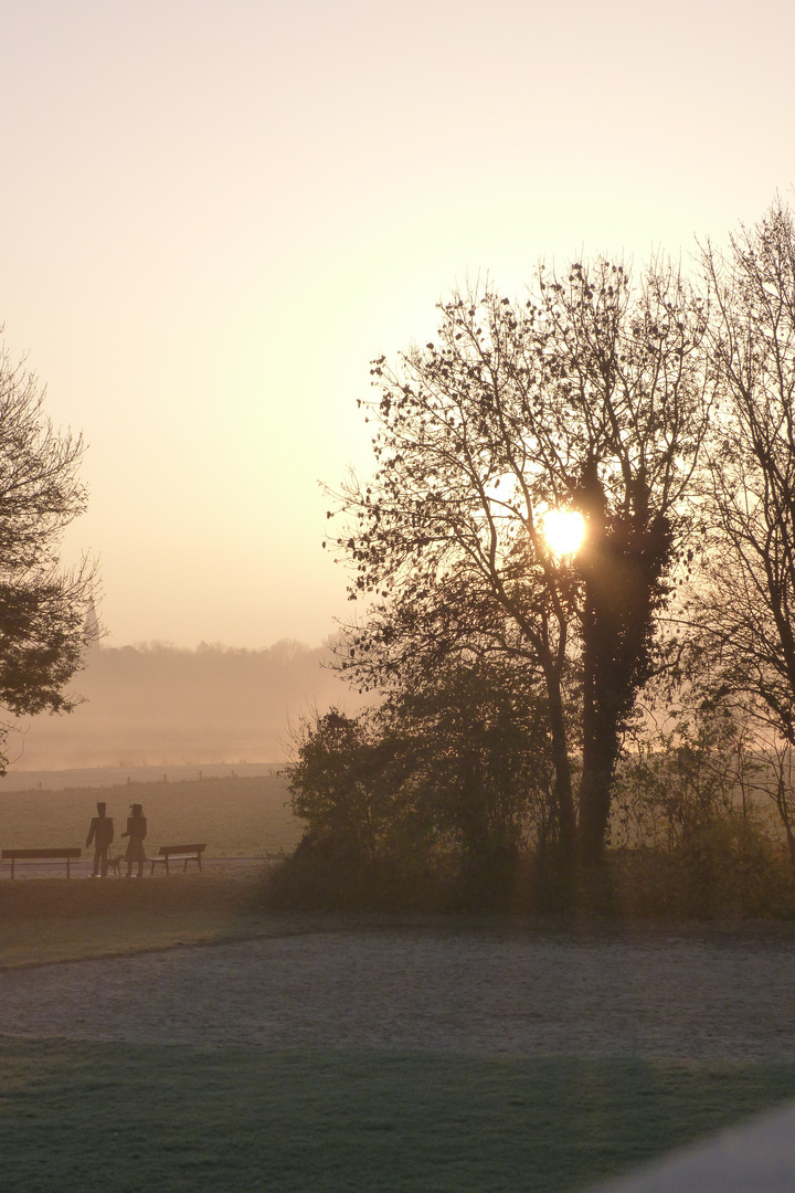 Morgennebel