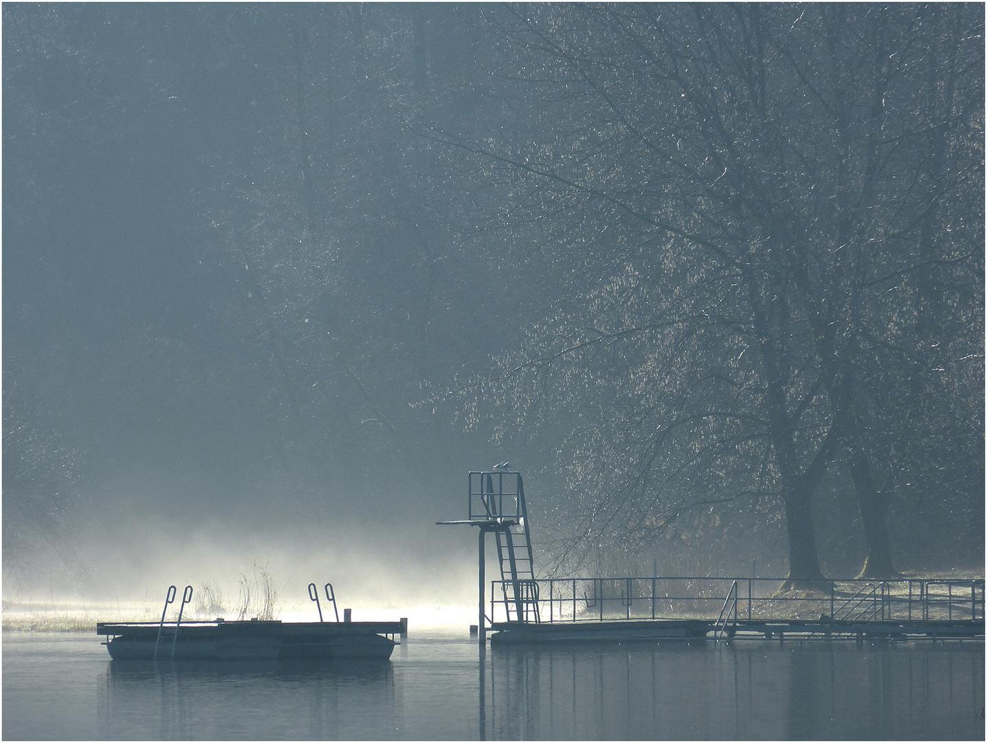 Morgennebel