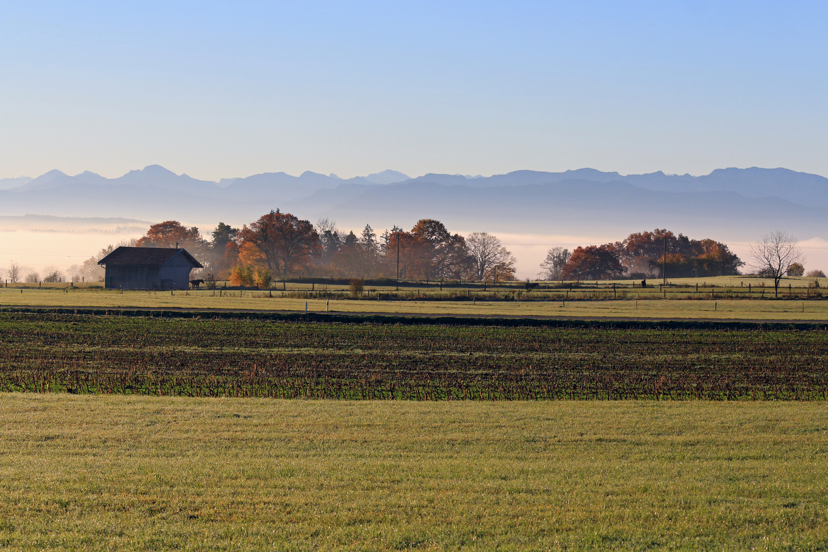 Morgennebel