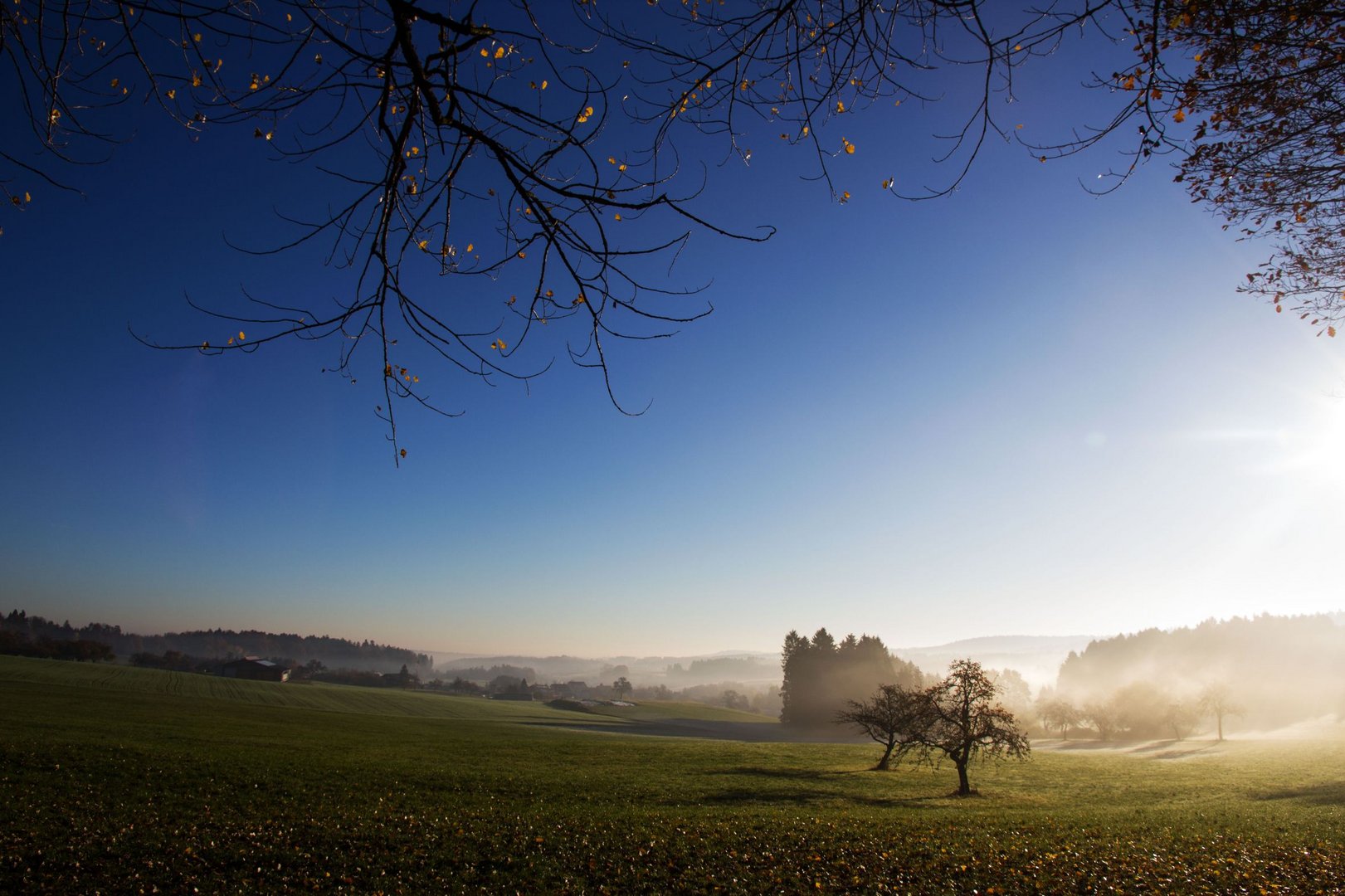 Morgennebel