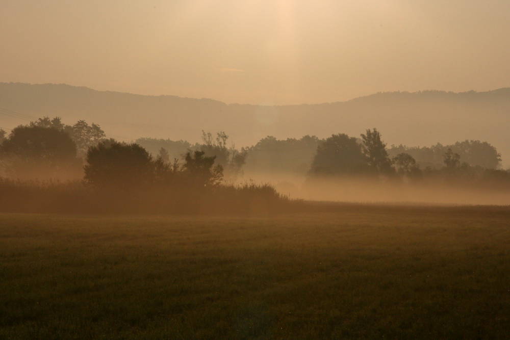 Morgennebel