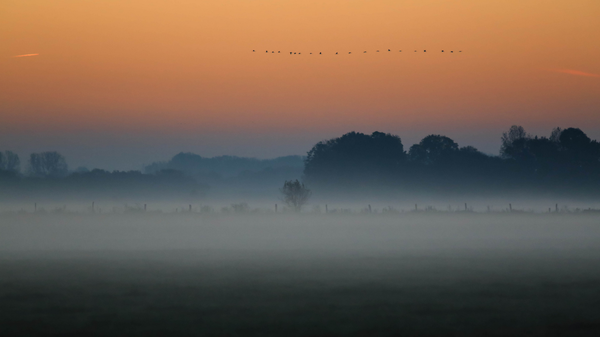 Morgennebel