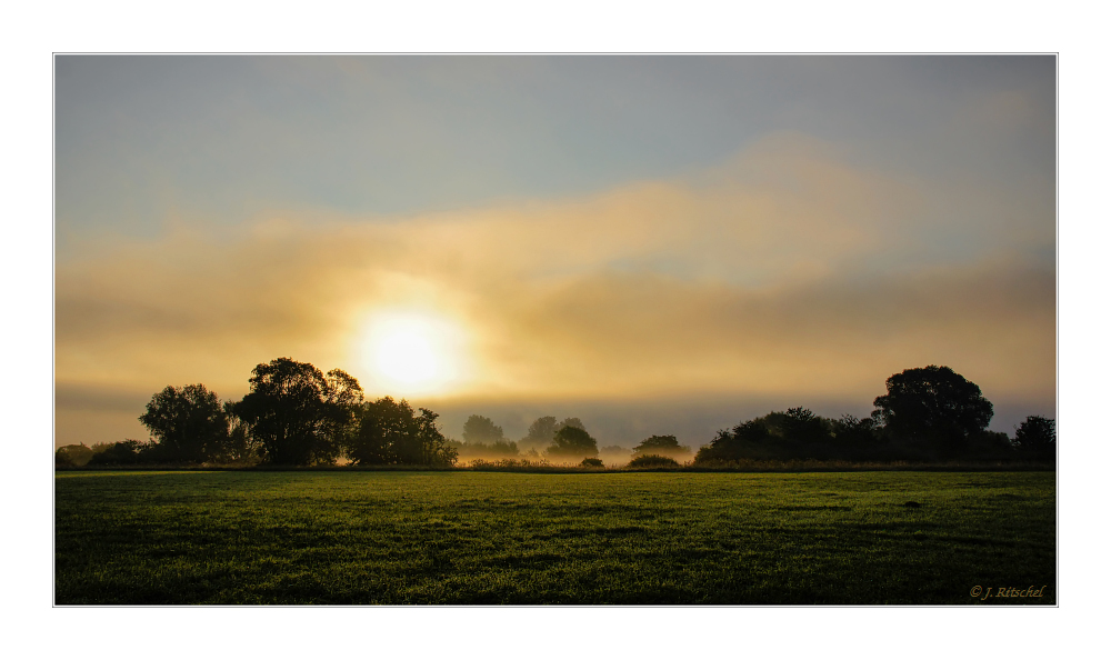 Morgennebel