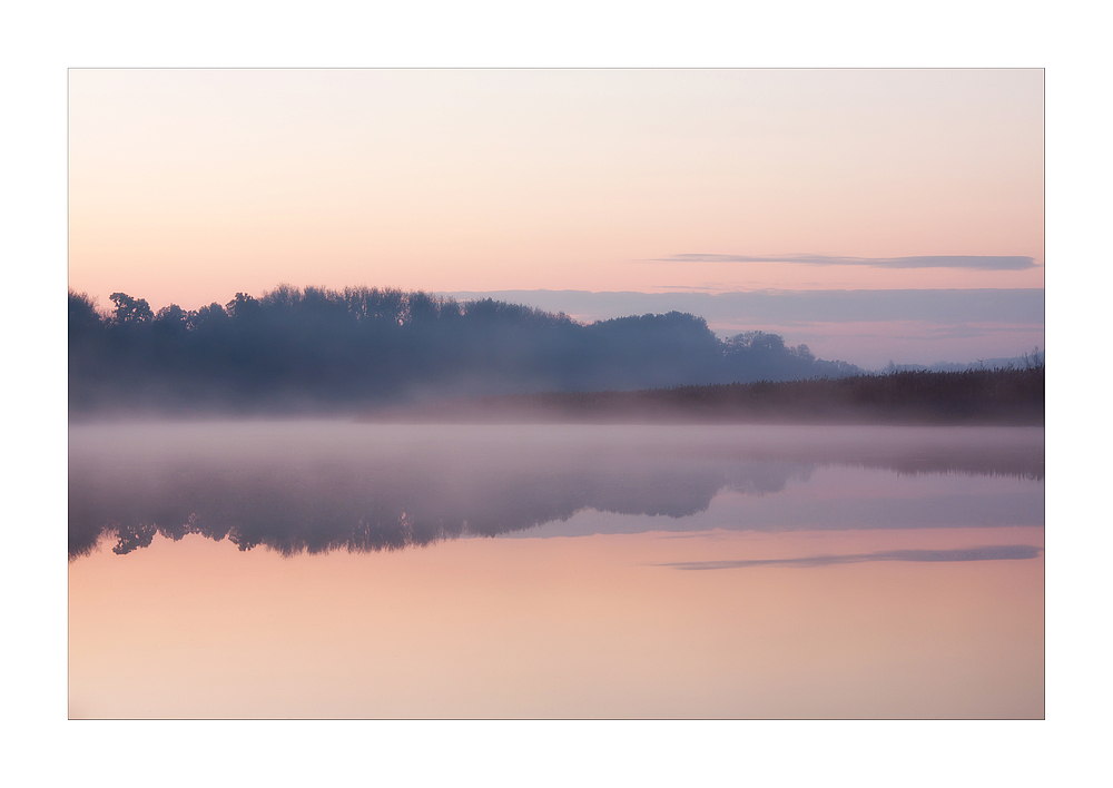 Morgennebel