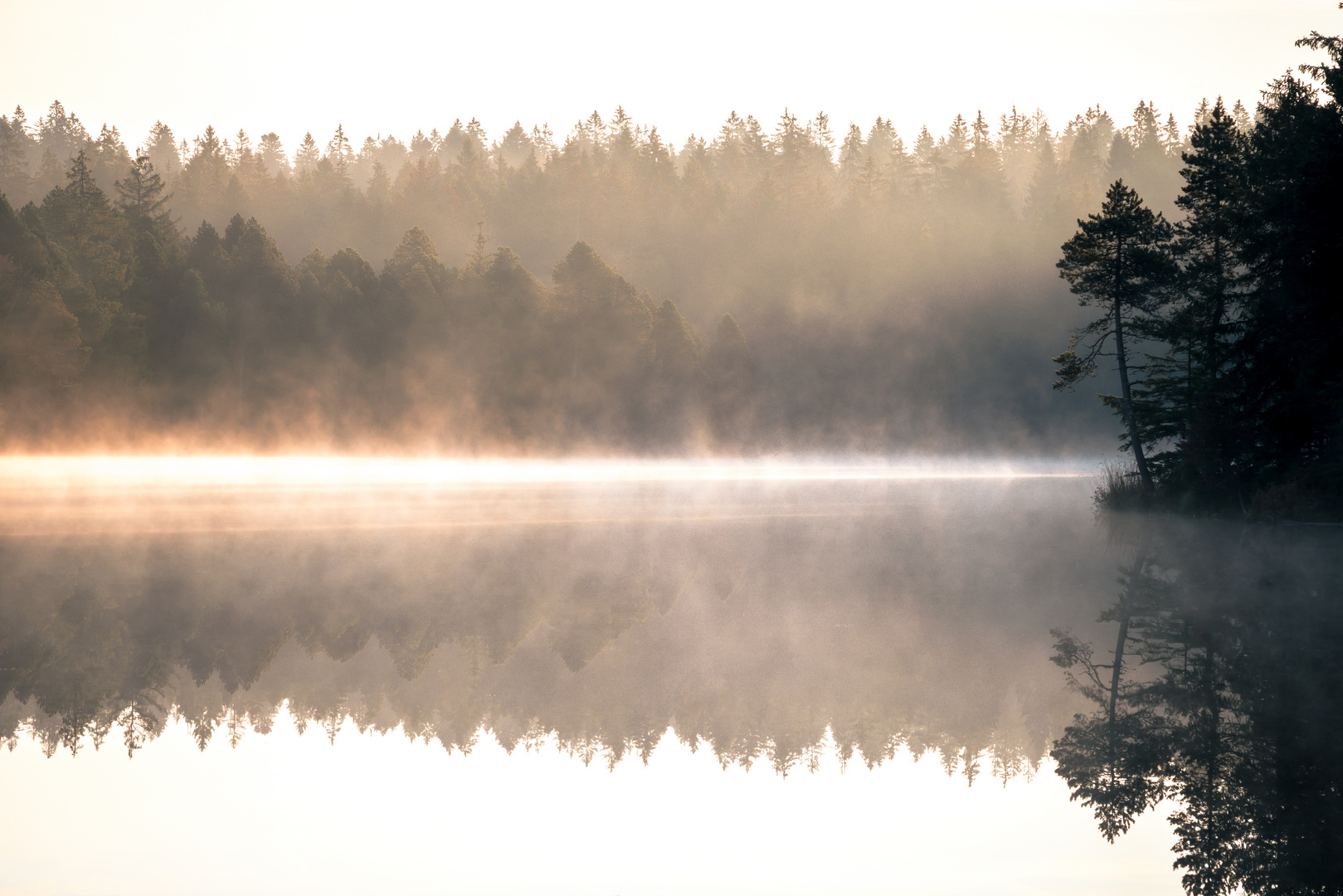 Morgennebel