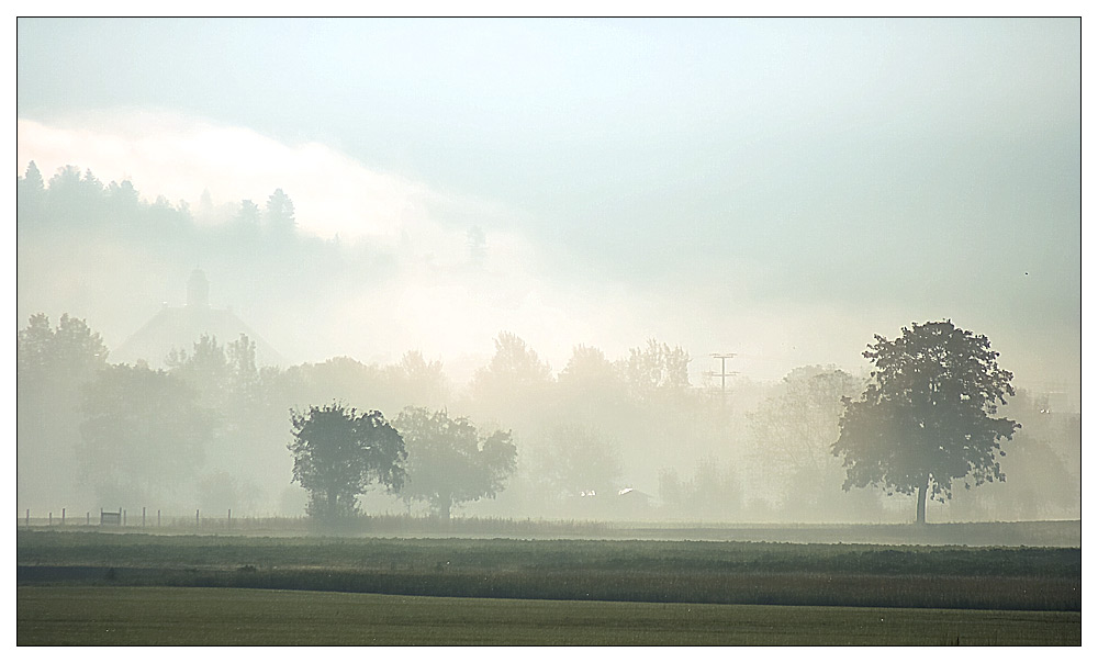 Morgennebel