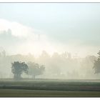 Morgennebel