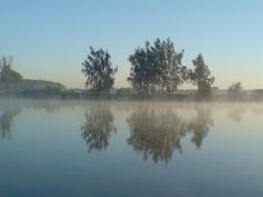 Morgennebel