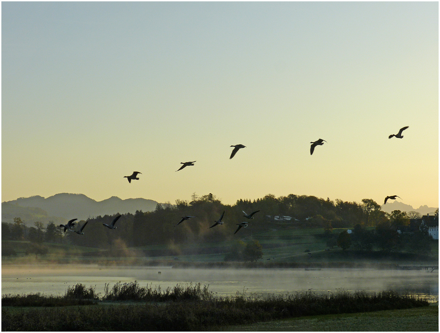 Morgennebel