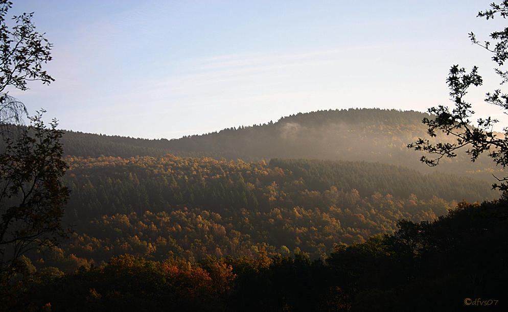 Morgennebel