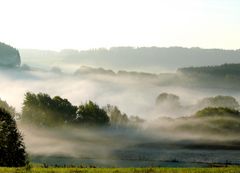 Morgennebel