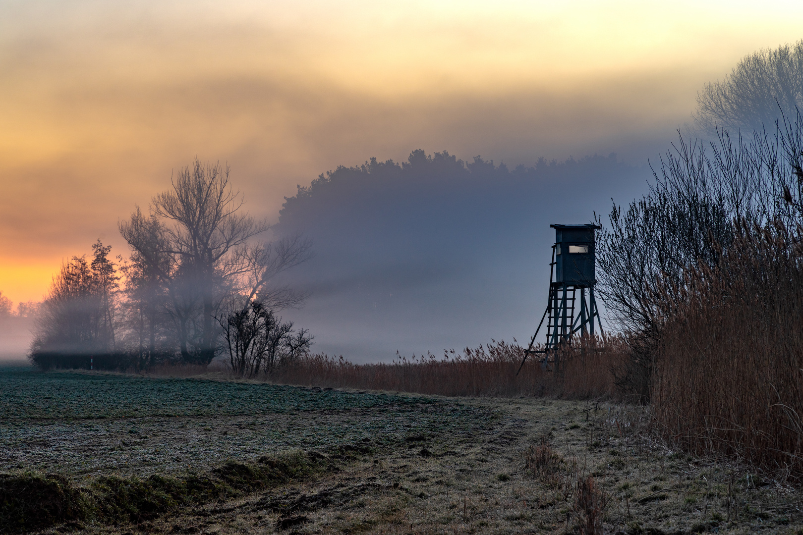 Morgennebel