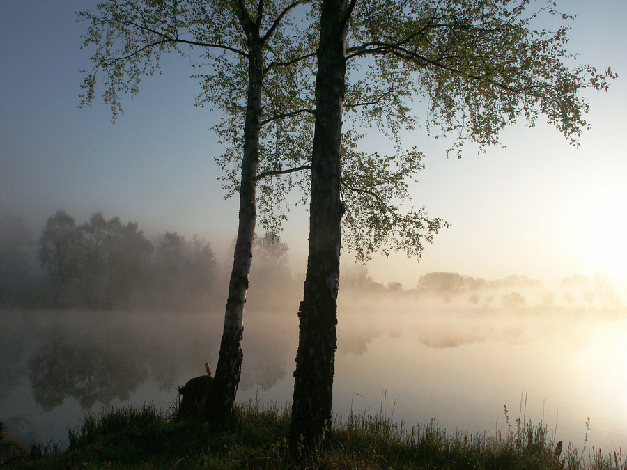 Morgennebel von Björn Henss