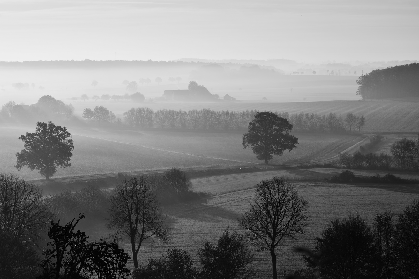 Morgennebel